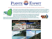 Tablet Screenshot of pointeesprit.com